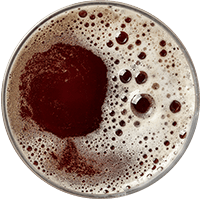 beer_transparent_02 https://northseabrewing.com/wp-content/uploads/2017/05/beer_transparent_02.png