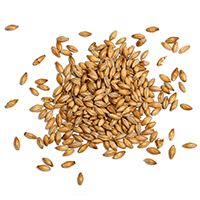 https://northseabrewing.com/wp-content/uploads/2017/05/ingredients_transparent_03.png